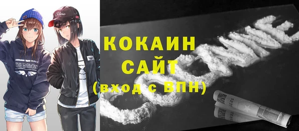 стаф Алзамай