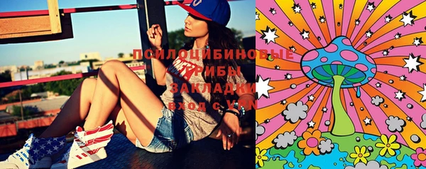 бошки Алексеевка