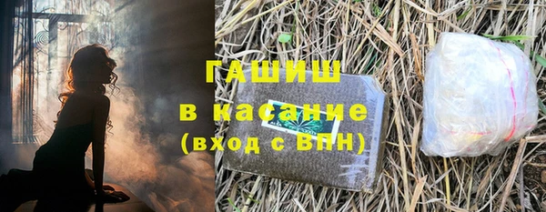 стаф Алзамай