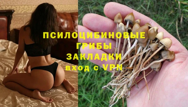 бошки Алексеевка