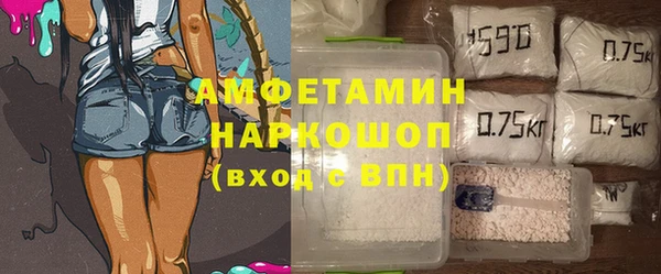 стаф Алзамай